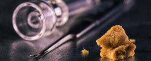Wax vs Herb: Which is Better?