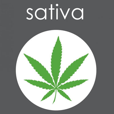 Sativas