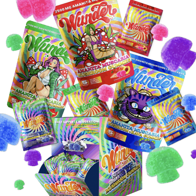Shrooms & More