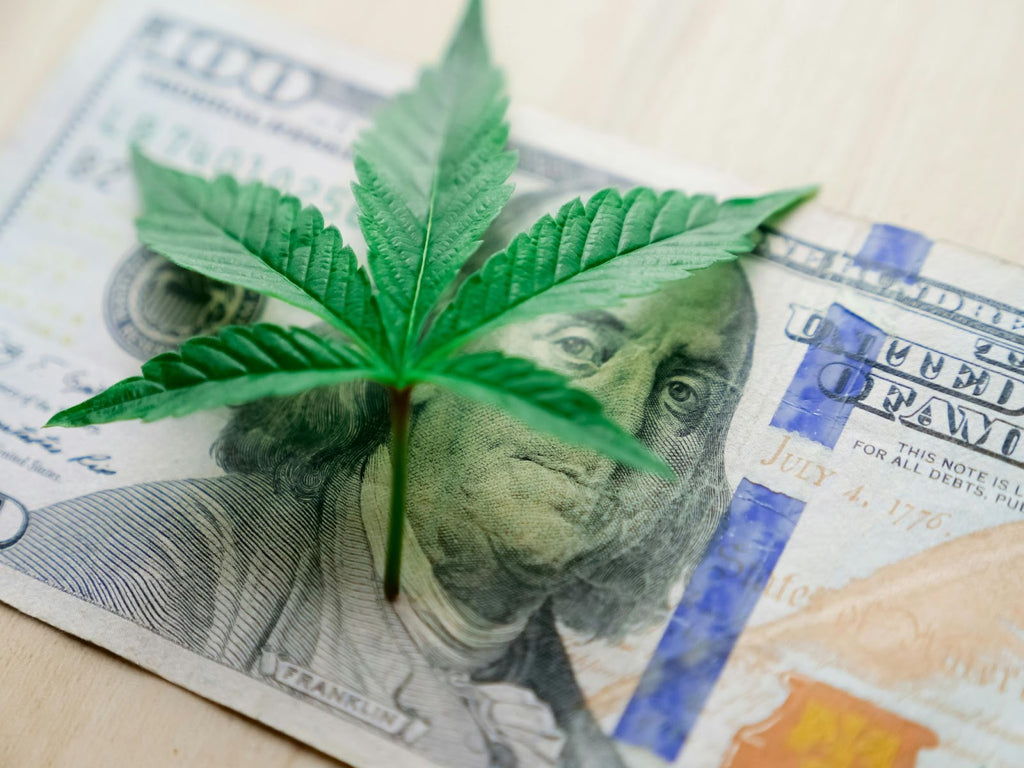  a cannabis leaf placed on top of a $100 bill – SMOKEA 