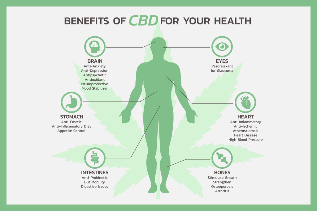  Health Benefits of CBD: Exploring the Therapeutic Uses and Effects 