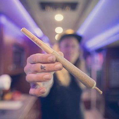  person holding a raw rolled joint -  SMOKEA® 