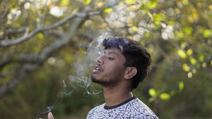 How Long Does Weed Stay In Your System?