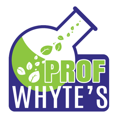 Professor Whyte's