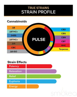3CHI 2ml True Strains Vape Pod - Pulse