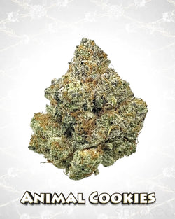 Death Row Records 3.5g THCA Flower - Animal Cookies