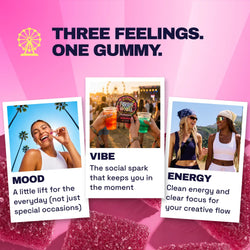 Ferris Wheel Daily Mood Kanna Gummies - Watermelon