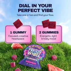 Ferris Wheel Daily Mood Kanna Gummies - Watermelon