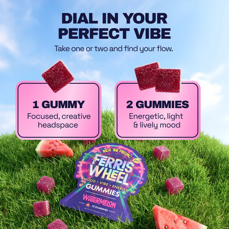 Ferris Wheel Daily Mood Kanna Gummies - Watermelon