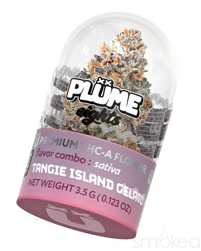 Plume Eights Premium THCA Flower - Tangie Island Gelato