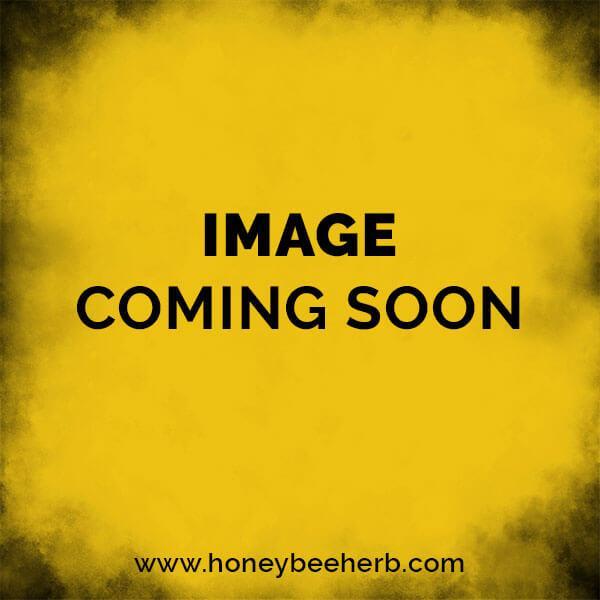 Honeybee Herb Black Line 45° Honey Bevel Deep Bowl Quartz Banger 10mm / Female